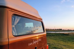 Brownie beim Sonnenuntergang.