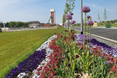 Blumen, soweit das Auge reicht!