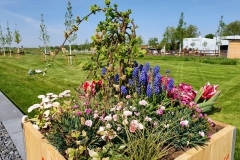Kleinere Blumenkübel säumen den Weg.
