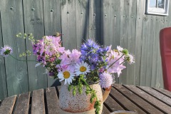 Wildblumen soweit das Auge reicht