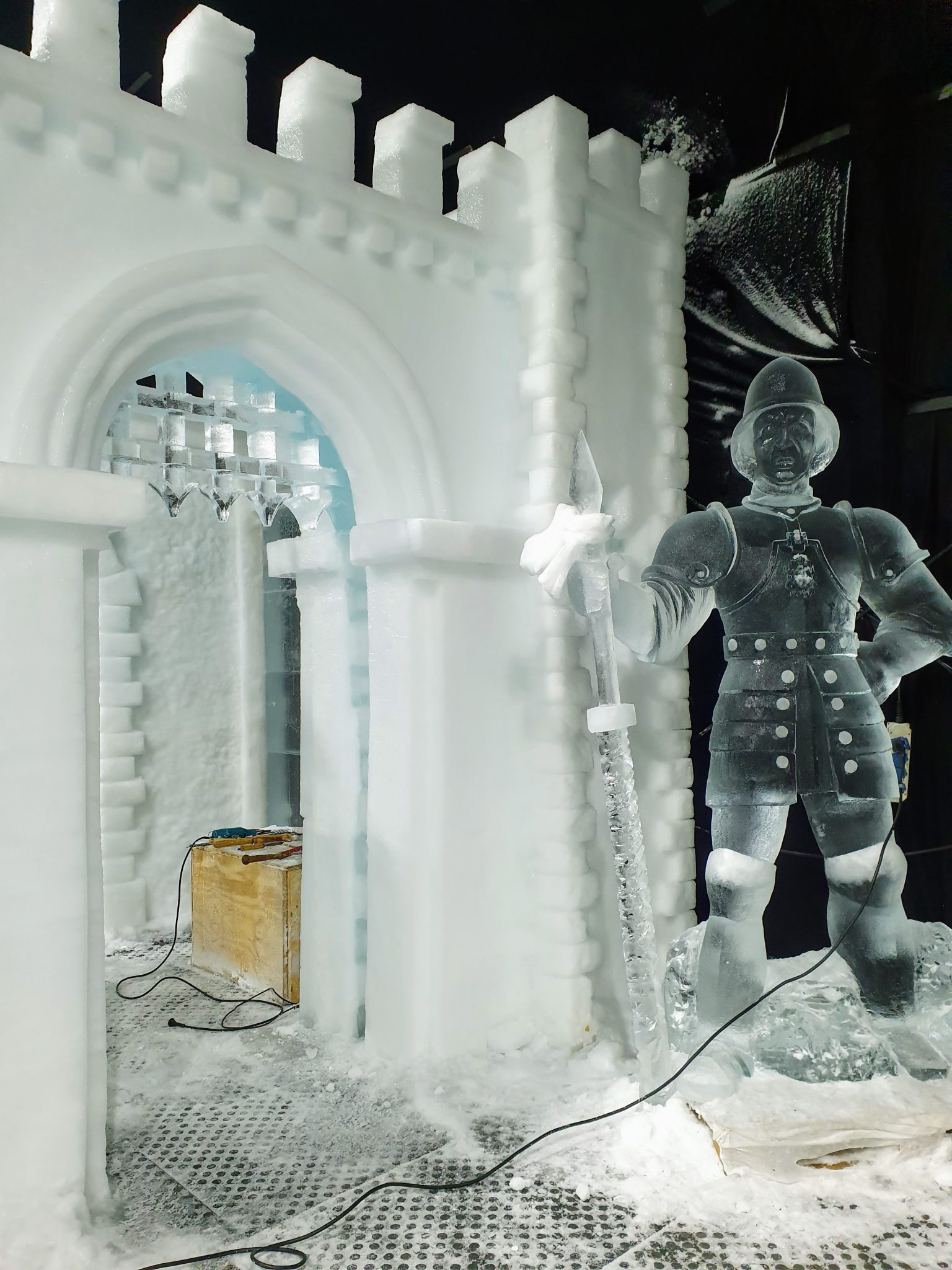  Foto zu Eisskulpturen Festival Zwolle - Niederrheinblond.de 