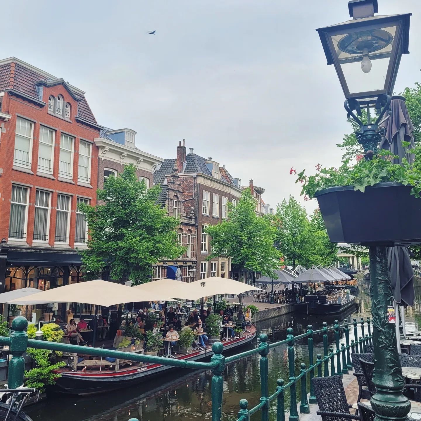 Hollandliebe!

Auch mit grauem Himmel hat uns die niederländische Stadt Leiden heute verzaubert. Wunderschöne Häuser, Gedichte an Wandmauern und die älteste Universität der Niederlande inklusive beeindruckendem botanischen Garten laden zum Verweilen ein ♥️

Welche niederländische Stadt ist denn euer absoluter Favorit?
______________________

#Leiden #niederlande
#hollandliebe #südholland #zuidholland #holland #stadvanontdekkingen